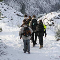 Winterhike 2023